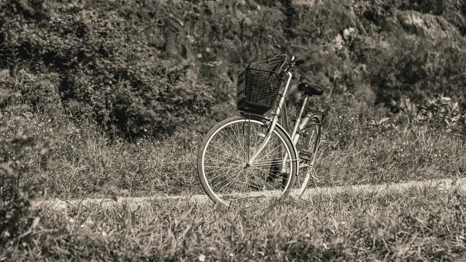 A vintage bicycle parked beside a grassy path in Ninh Binh