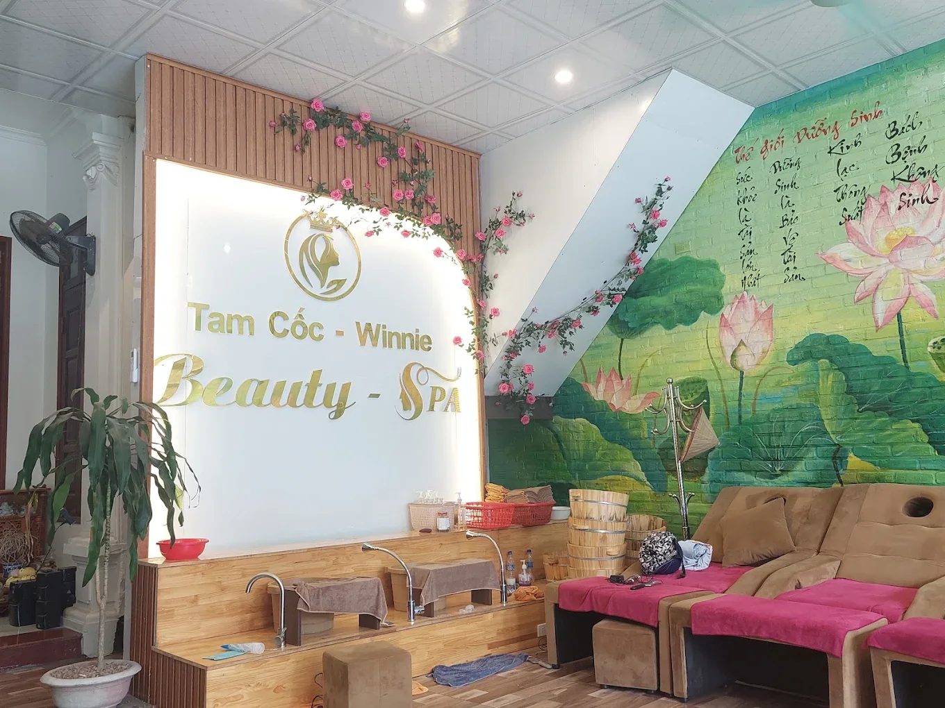 Actual Tam Coc Winnie Spa interior with its branded wall
