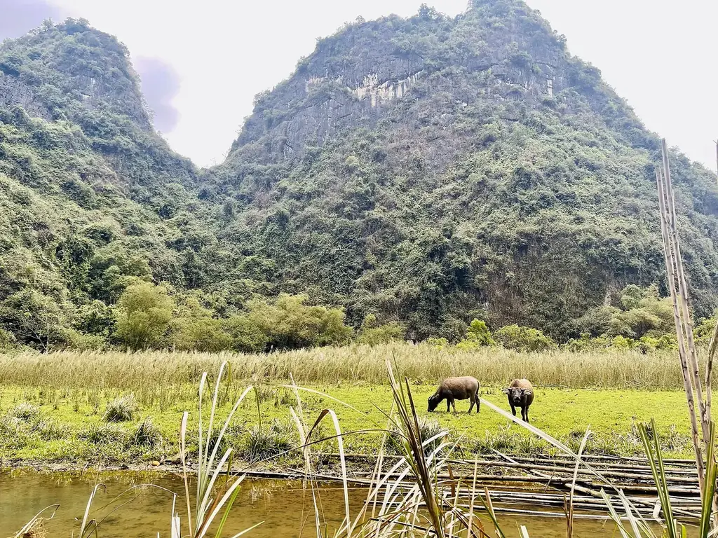 Dundj Valley in Ninh Binh