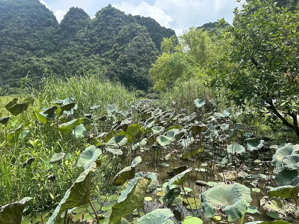 Best things to do in Tam Coc: a first-timer guide without the checklist